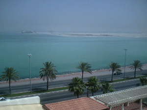 d0038319_1542141.gif