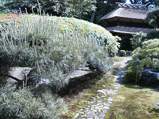 b0019820_19204299.jpg