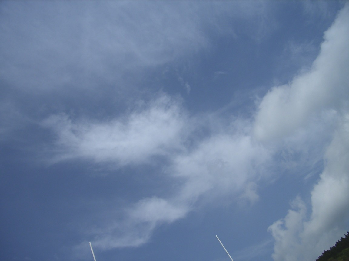d0091021_21412722.jpg