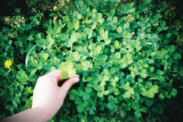 f0113427_2012043.jpg