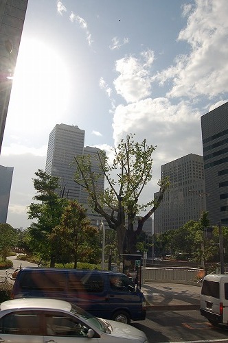 OBP_b0097729_2332159.jpg