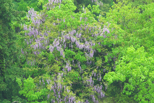 c0067040_2211408.jpg