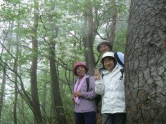 おいしいリハビリウォーク・うれしいおまけ_f0019247_2313629.jpg