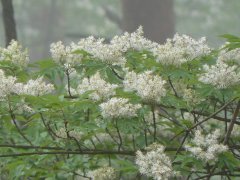 おいしいリハビリウォーク・うれしいおまけ_f0019247_2395150.jpg