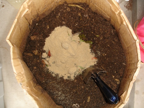 f0131768_06287.jpg
