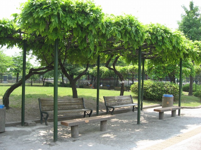 d0012685_2231675.jpg