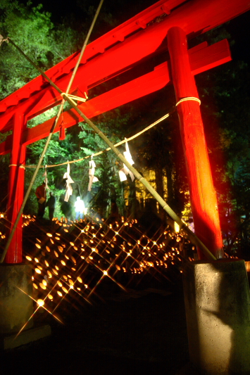 e0101690_2212888.jpg