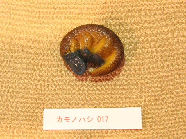 f0077299_19361915.jpg