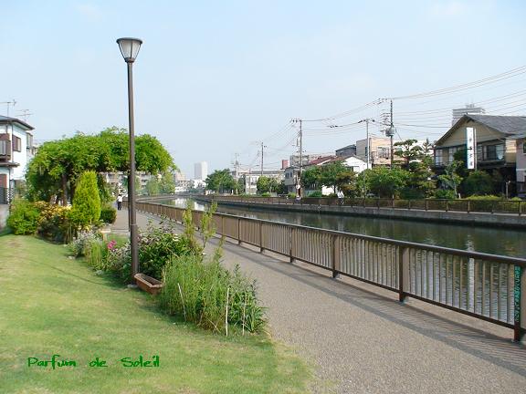 d0087503_16211761.jpg