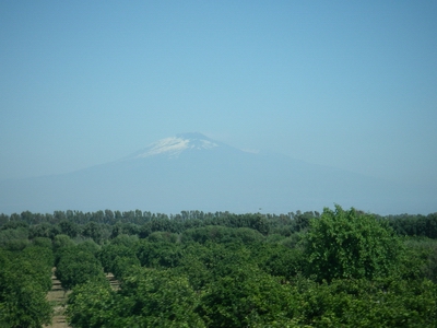 f0133814_01430.jpg