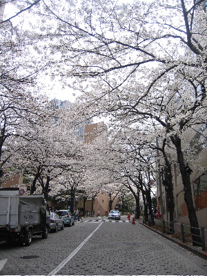 f0051220_1291193.jpg
