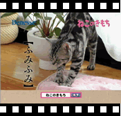 b0053944_22442918.gif