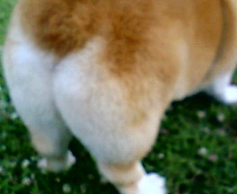 f0136398_2140562.jpg