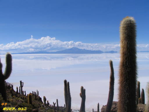 b0051109_0274780.jpg