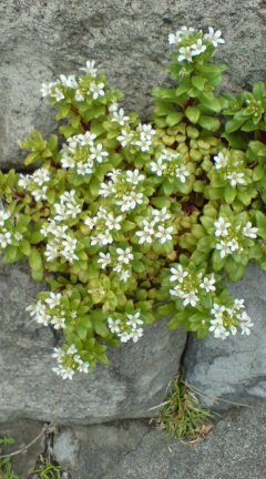 b0087914_18422155.jpg