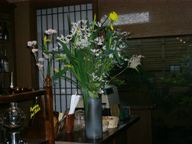 a0040929_19144278.jpg