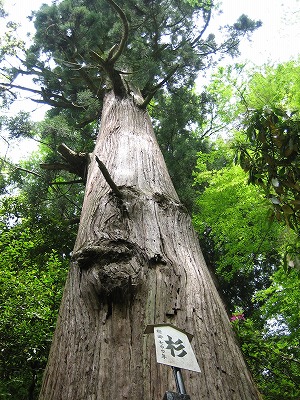 京都へ 2_b0100229_1314920.jpg