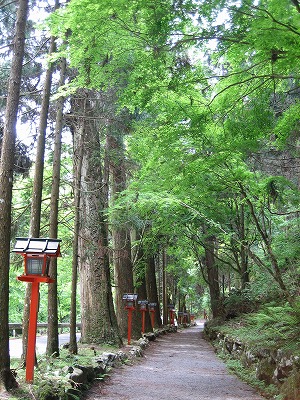 京都へ 2_b0100229_1392686.jpg