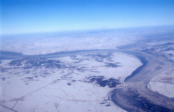d0088332_1353275.jpg