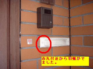 f0031037_18515280.jpg