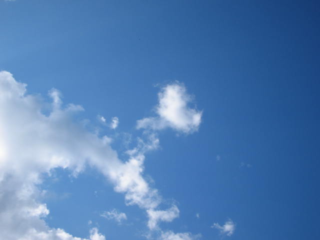 d0114939_19421660.jpg