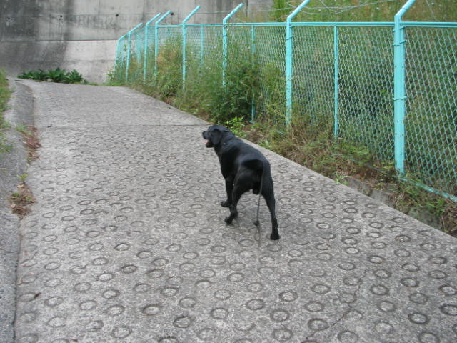 d0114939_1949661.jpg