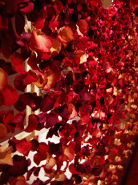 f0134642_10394995.gif