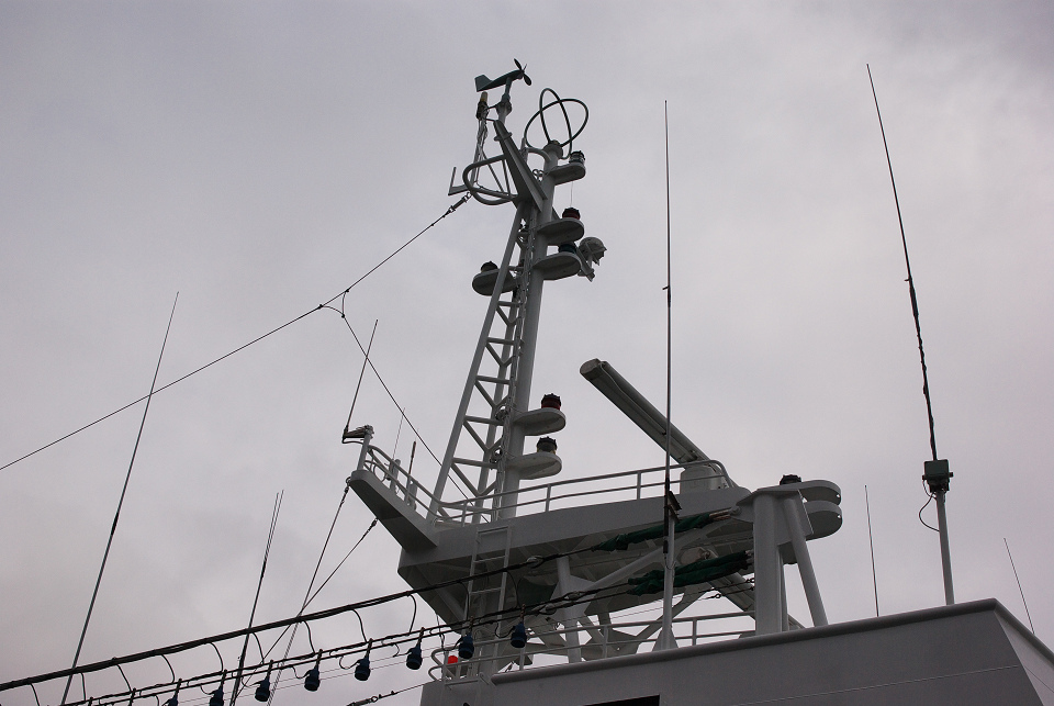 d0098645_17515864.jpg