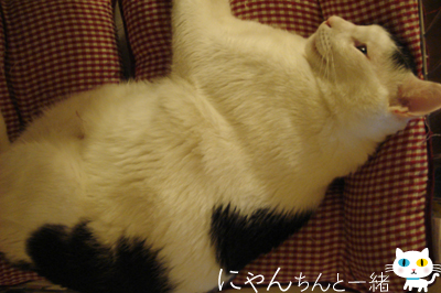 目、閉じ忘れ…_e0031853_1646583.jpg