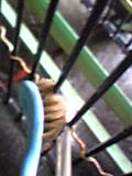 d0007957_21582595.jpg