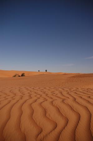 e0066474_20571034.jpg