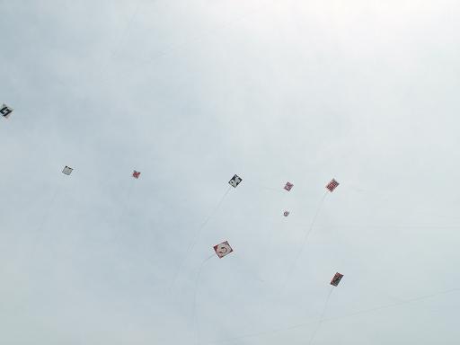 a0037298_8303527.jpg