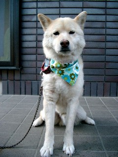 a0040103_20125019.jpg