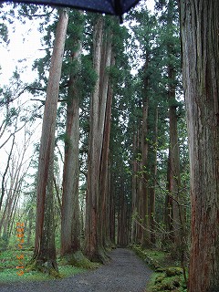 82回例会　戸隠高原・奥裾花自然園_f0110413_21313284.jpg