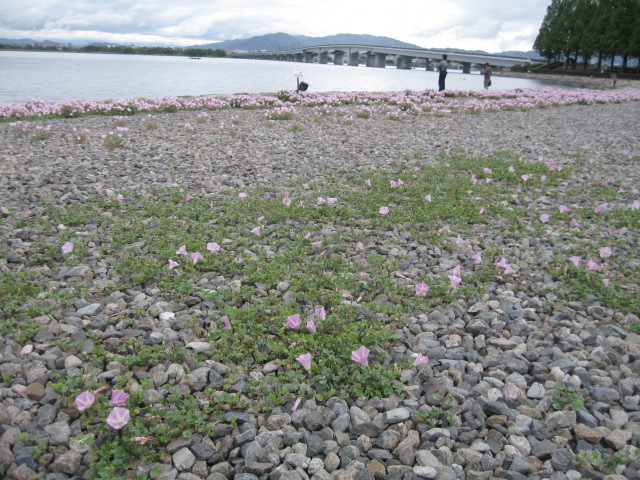 水のある風景_f0128316_19533599.jpg