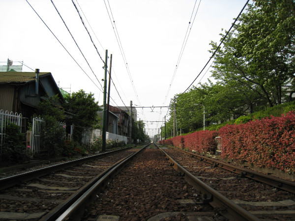 都電　路地裏のツツジ_e0117923_0205612.jpg