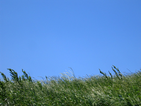 e0089826_22153496.jpg