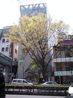Tokyo Walk; 26th Apr. / Omote Sando, TOD\'s Bldg., Warai and 21_21_e0113826_1550789.jpg
