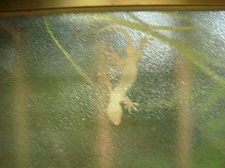 わたくし分かりません。(ポカ-ン)_c0102228_20183175.jpg