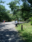 ＊どんなどんなも　すべての一日が、その人の一生をつくる_a0030038_23402957.jpg