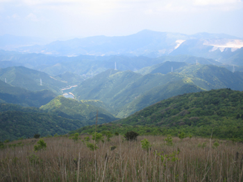 e0110940_2253106.jpg