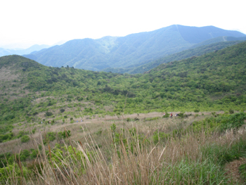 e0110940_2253258.jpg