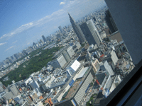f0134642_2247527.gif