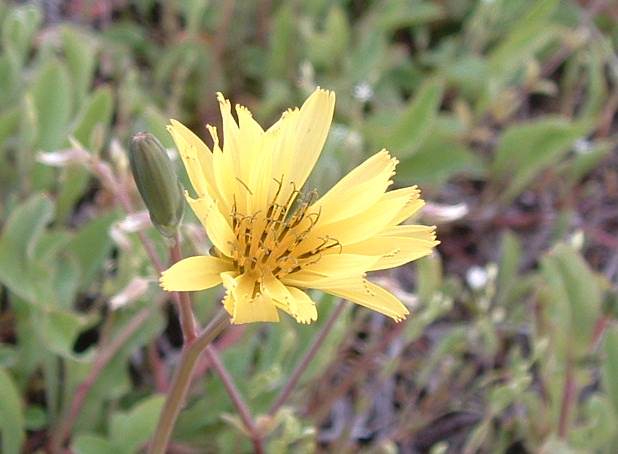 b0092858_20335713.jpg