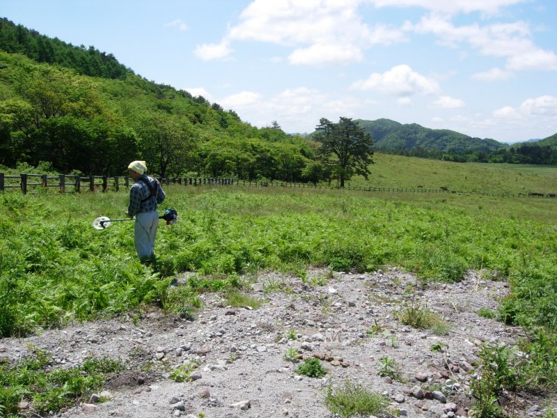 c0016259_23231186.jpg
