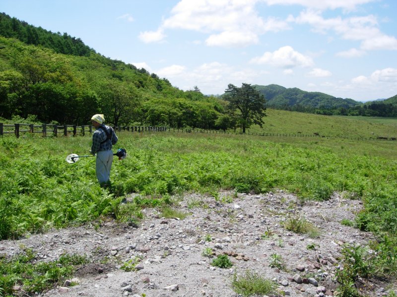 三瓶山のイバラ刈り_c0016259_23231186.jpg