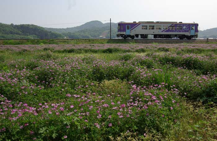 e0019563_13274691.jpg