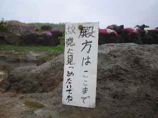 b0097183_10135368.jpg