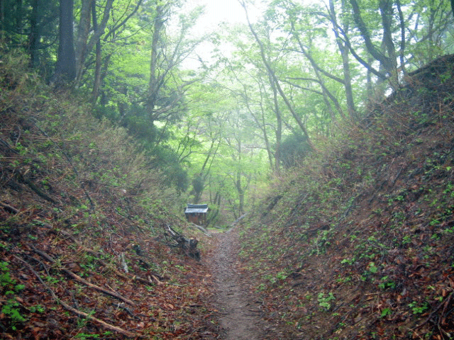 b0108100_2116197.gif