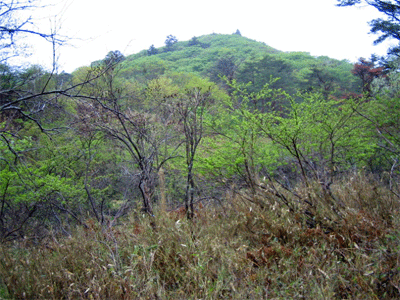 b0108100_21312085.gif